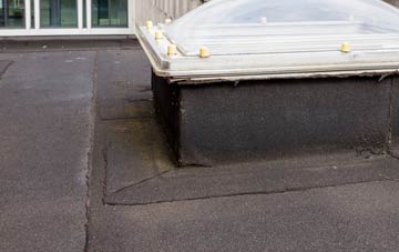 disadvantages of Hains flat roofs