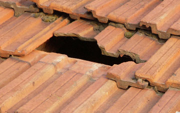 roof repair Hains, Dorset