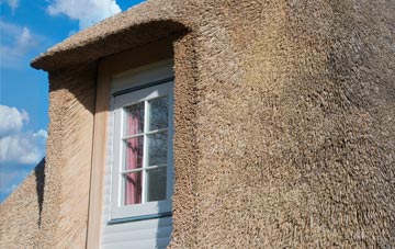 Hains thatch roof disadvantages