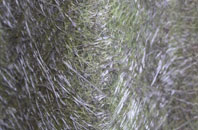 Hains fibreglass roof work